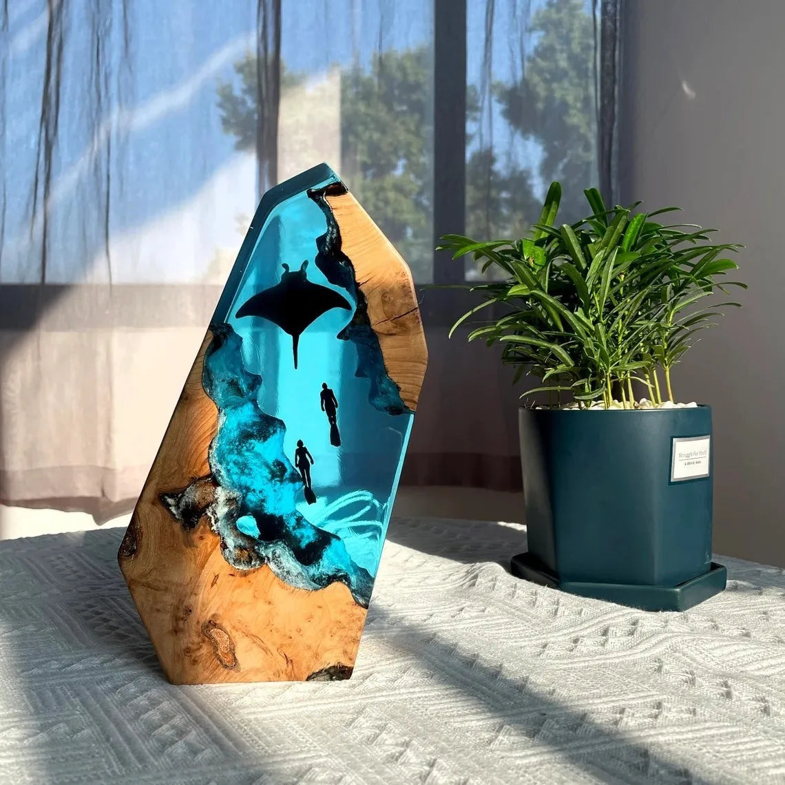 Manta Drift: The Light Beneath